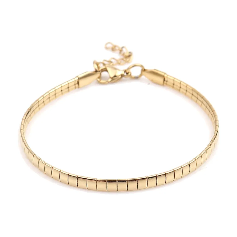 Bracelet Chaîne Serpent en Acier Inoxydable 316L