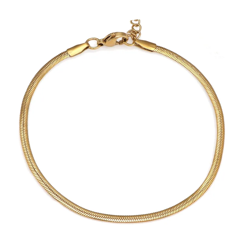 Bracelet Chaîne Serpent Plate, Acier Inoxydable 316L