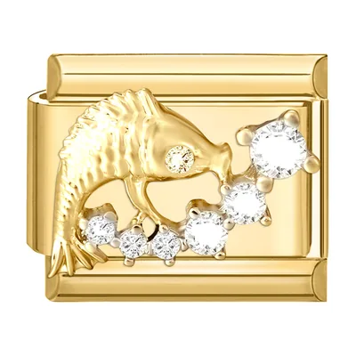 Fish Motif Link Bracelet, 316L Stainless Steel