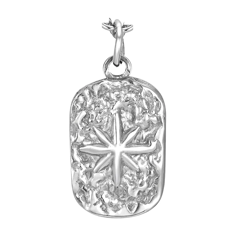 Compass Star Pendant Necklace with Rope Chain, Stainless Steel