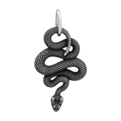 Schlangen-Anhänger mit passender Kette, Edelstahl