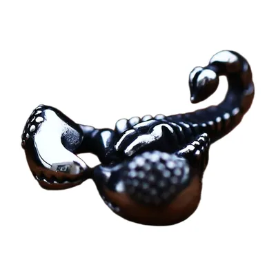 Skorpion Anhänger mit passender Kette, Edelstahl