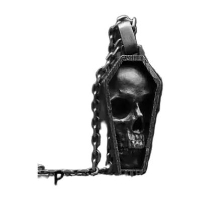 Skull in Coffin Pendant with Curb Chain, Stainless Steel