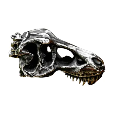 Dinosaurier-Schädel Anhänger mit Kette, 316L Edelstahl