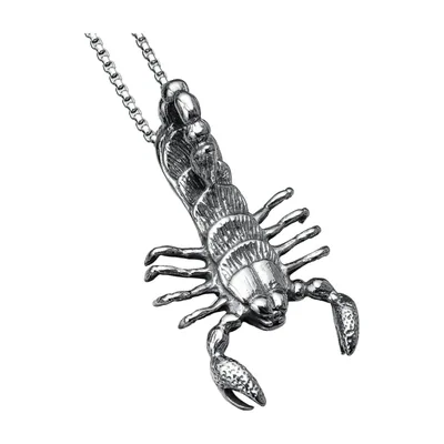 Skorpion Anhänger Kette für Herren, 316L Edelstahl