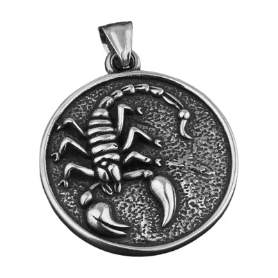 Skorpion Medaillon Anhänger mit Kette, Edelstahl