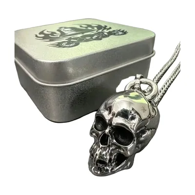 Skull Pendant with Curb Chain, 316L Stainless Steel