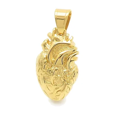 Colgante de Corazón Anatómico con Cadena, Acero Inoxidable 316L