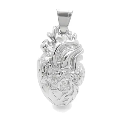 Colgante de Corazón Anatómico con Cadena, Acero Inoxidable 316L