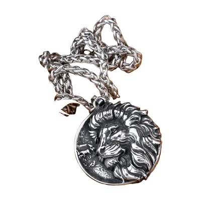 Pendentif Médaillon Tête de Lion avec Chaîne, Acier Inoxydable