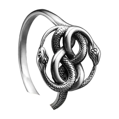 Ouroboros Schlangenring aus 316L Edelstahl