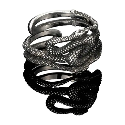 Anello Ouroboros Serpente in Stile Vichingo, Acciaio Inossidabile