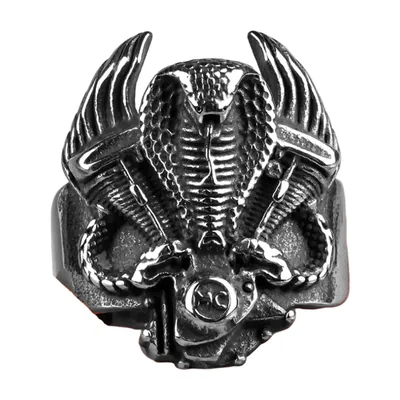 Anillo de Cobra y Motor en Acero Inoxidable