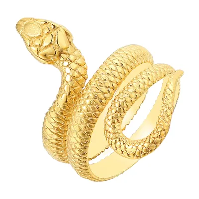 Schlangen-Wrap-Ring aus 316L Edelstahl