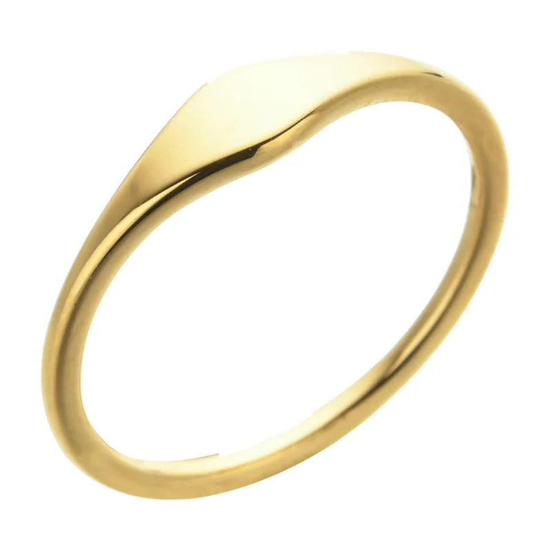 Minimalistischer schmaler Ring, polierter Edelstahl