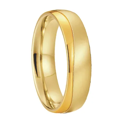 Anillo de Banda Pulido y Cepillado, Acero Inoxidable 316L