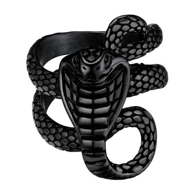 Ouroboros Kobra-Schlangenring aus 316L Edelstahl