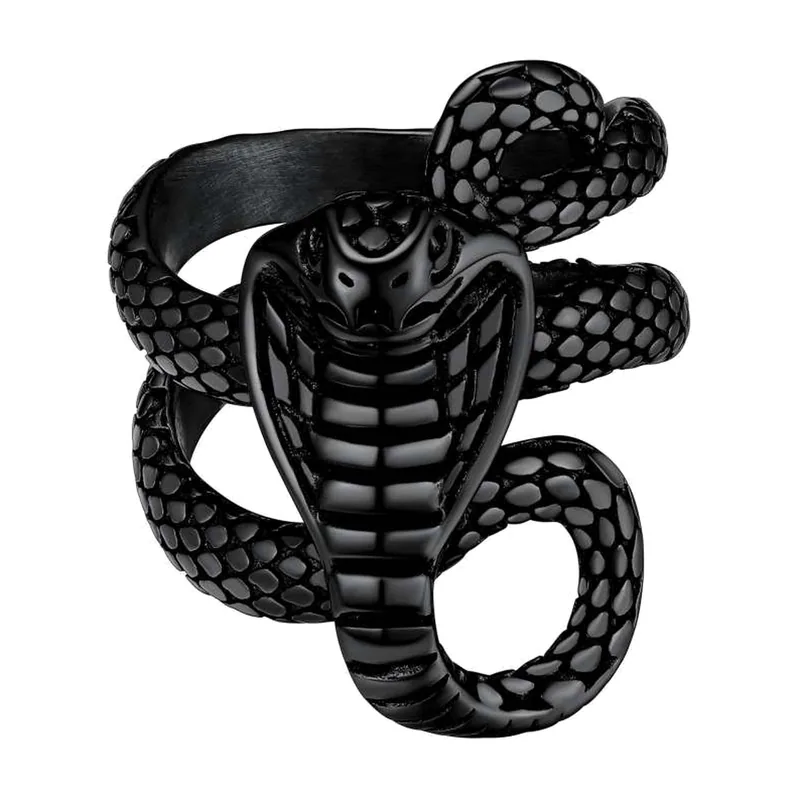 Bague Serpent Ouroboros en Acier Inoxydable 316L