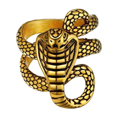 Ouroboros Schlangenring mit Schuppen-Details, Edelstahl
