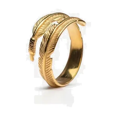 Feder-Wrap-Ring aus 316L Edelstahl