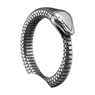 Bague Ouroboros Serpent en Acier Inoxydable 316L