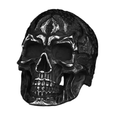 Skull Signet Ring, 316L Stainless Steel