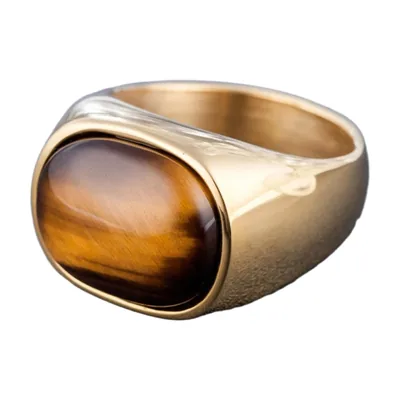 Bague Chevalière avec Œil de Tigre, Acier Inoxydable Doré
