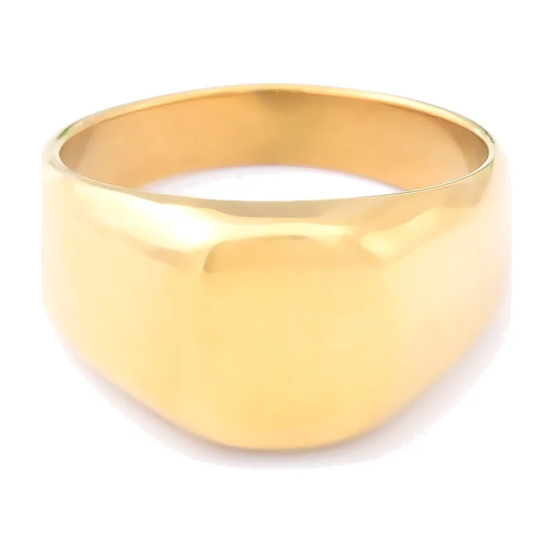Herren Siegelring mit Onyx aus Edelstahl