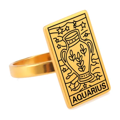 Anillo Sello de Acuario, Acero Inoxidable 316L